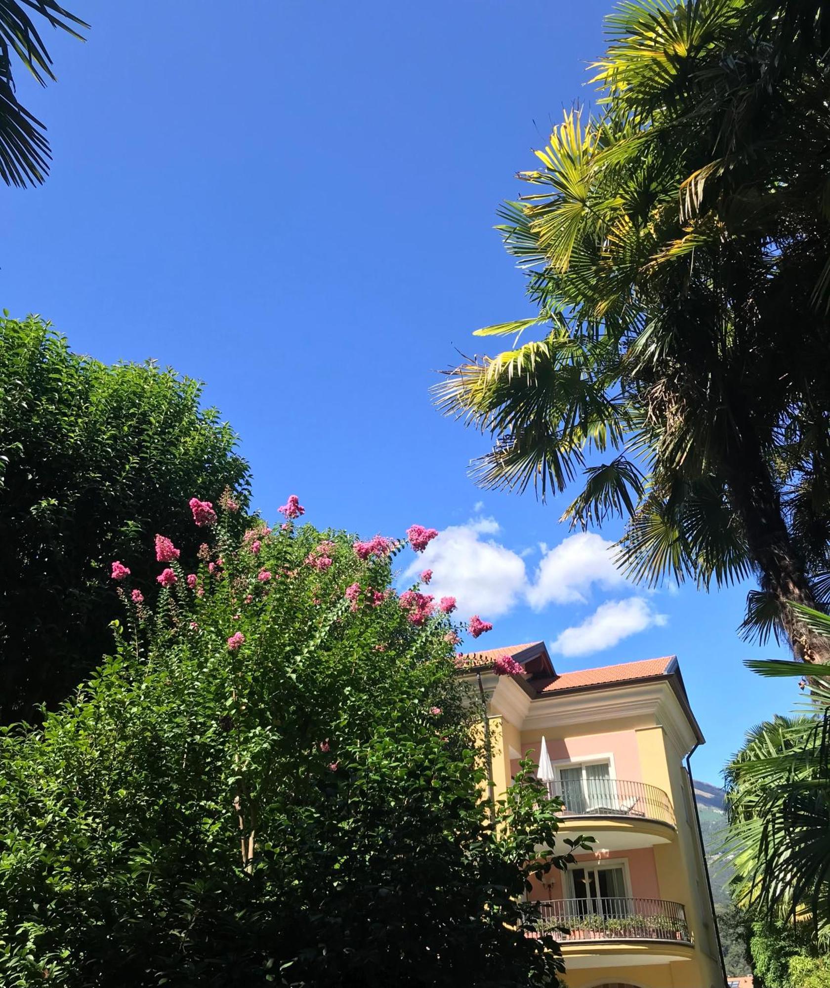 Villa Palmira Kinderfreies Hotel Cannobio Zewnętrze zdjęcie