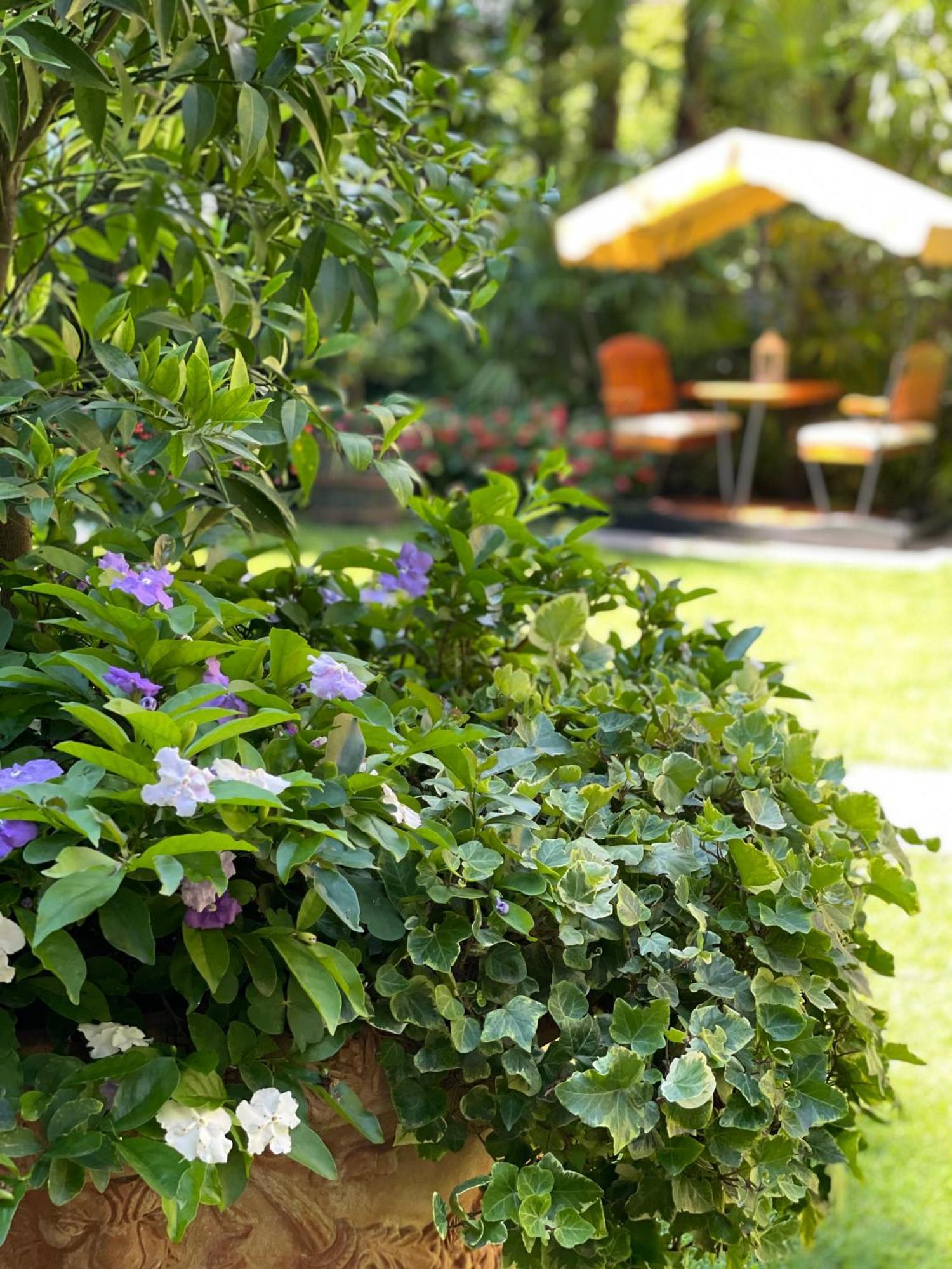 Villa Palmira Kinderfreies Hotel Cannobio Zewnętrze zdjęcie